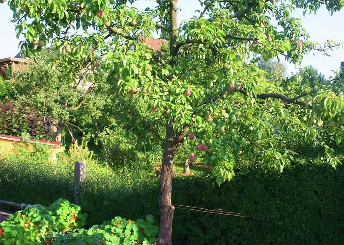 Near A Vakantiehuis *