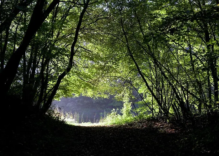 Vakantiehuis Near A *