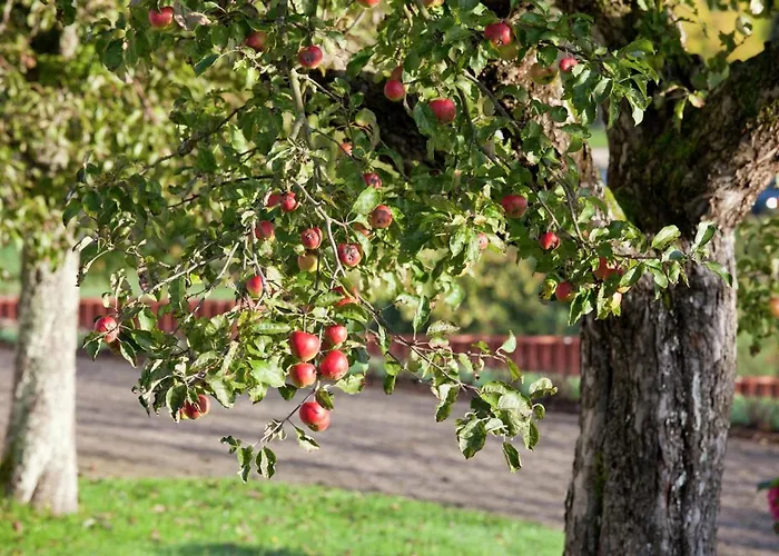 Near A Vakantiehuis *